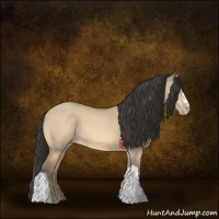 Horse Color:Amber Champagne Dun 