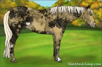 Horse Color:Palomino Ice 