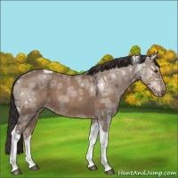 Horse Color:Liver Red Dun Ice Tobiano