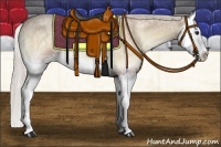 Horse Color:Silver Brown Ice Roan Onyx Splash 
