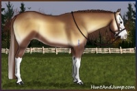 Horse Color:Red Onyx Sabino Splash 