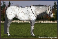 Horse Color:Blue Onyx Ice Near Leopard 