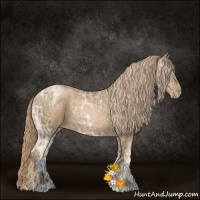 Horse Color:Liver Chestnut Ice Pearl Rabicano 