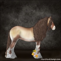 Horse Color:Blue Onyx Pearl Rabicano 