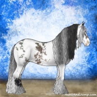 Horse Color:Brown Sabino Rabicano