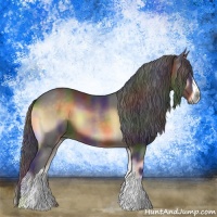 Horse Color:Nacre Brown Onyx 