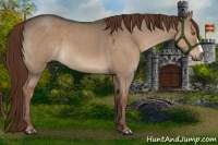 Horse Color:Liver Red Dun Roan 