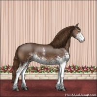 Horse Color:White Spotted Liver Chestnut 