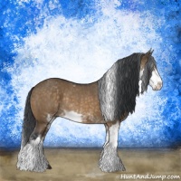 Horse Color:Brown Dun Sabino Rabicano Brindle