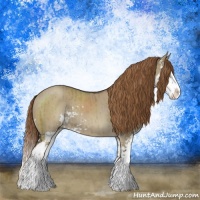 Horse Color:Liver Red Dun Sabino Splash Rabicano Brindle 