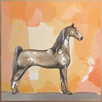 Horse Color:White Spotted Chocolate Palomino Dun 