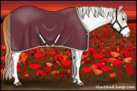 Horse Color:White Spotted Chestnut Rabicano 