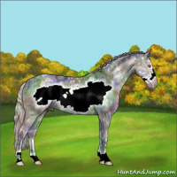 Horse Color:Nacre Silver Grullo Chinchilla Ice Sabino Frame 