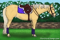 Horse Color:Palomino 