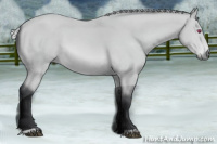 Horse Color:Silver Bay Chinchilla