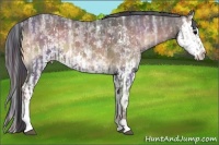 Horse Color:Nacre White Spotted Blue Onyx Ice  and Painted White Spotted Blue Onyx Ice Splash 