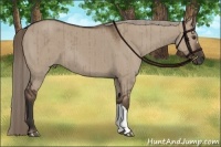 Horse Color:Liver Red Dun Brindle 