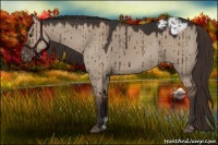Horse Color:Liver Red Dun Varnish Brindle 