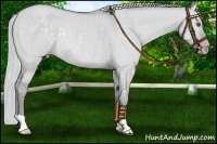 Horse Color:Silver Classic Champagne Chinchilla Dun Rabicano 