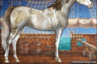 Horse Color:White Spotted Liver Red Dun Ice Pearl Splash 