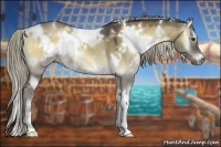 Horse Color:White Spotted Chocolate Palomino Onyx 