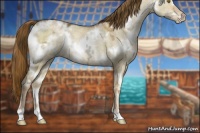 Horse Color:White Spotted Liver Red Dun Ice Pearl