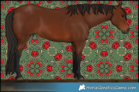Horse Color:Gray Bay 