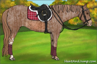 Horse Color:Chestnut Appaloosa  and Chestnut Appaloosa 