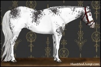 Horse Color:White Spotted Silver Smoky Black Chinchilla 