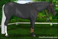 Horse Color:Silver Black Chinchilla 