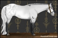 Horse Color:Silver Bay Chinchilla Dun Varnish 