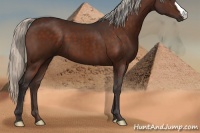 Horse Color:Silver Brown 