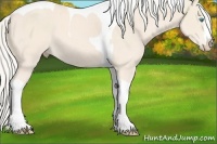 Horse Color:Cremello Splash Tobiano Rabicano 