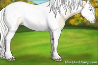Horse Color:Cremello Splash Tobiano Appaloosa Rabicano 