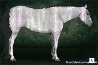 Horse Color:Gray Grullo Ice Roan Rabicano 