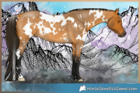 Horse Color:Gray White Spotted Buckskin Roan