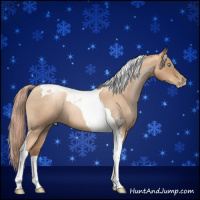 Horse Color:Gray Gold Cream Champagne Roan Pearl Tobiano 
