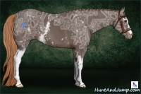 Horse Color:White Spotted Liver Chestnut Ice 