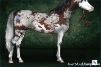 Horse Color:Brown Ice Splash