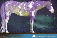 Horse Color:Watercolor White Spotted Brown Ice Splash