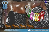 Horse Color:White Spotted Liver Chestnut 