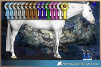 Horse Color:White Spotted Bay Sabino Splash Rabicano