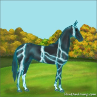 Horse Color:Gray Thunderstruck Black