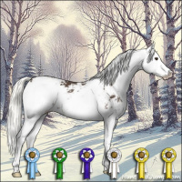 Horse Color:Liver Chestnut Mushroom Sabino Splash 