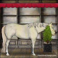 Horse Color:Smoky Creme Roan 