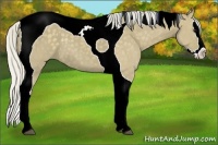 Horse Color:Silver Smoky Grullo Splash Tobiano 