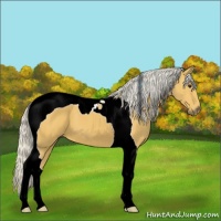 Horse Color:Silver Buckskin Tobiano 