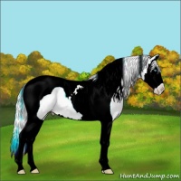 Horse Color:Silver Smoky Creme Dun Splash Tobiano