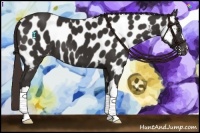 Horse Color:Liver Chestnut Near Leopard 