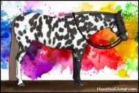 Horse Color:Liver Chestnut Near Leopard 